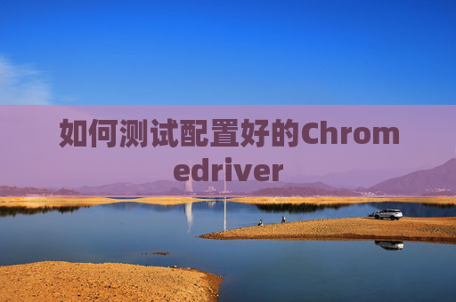 如何测试配置好的Chromedriver